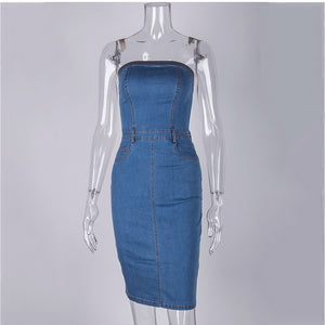 Lidia's Denim Dress